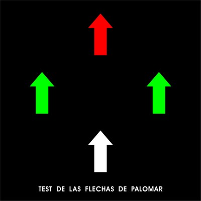 TEST_DE_LAS_FLECHAS_DE_PALOMAR