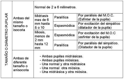 tablapupilar